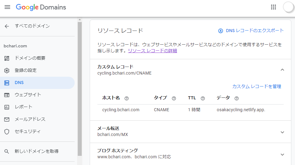 DNSカスタムレコード